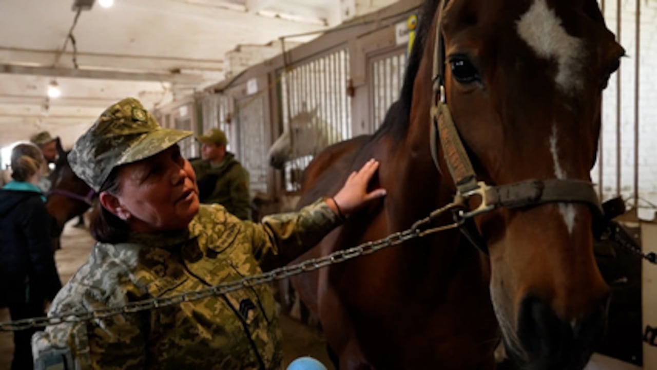 Paardentherapie moet Oekraïense soldaten helpen trauma's te verwerken