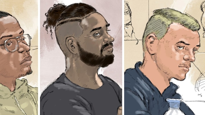 Verdachten kunstroof Assen krijgen mogelijk lagere straf na terugkeer gouden helm