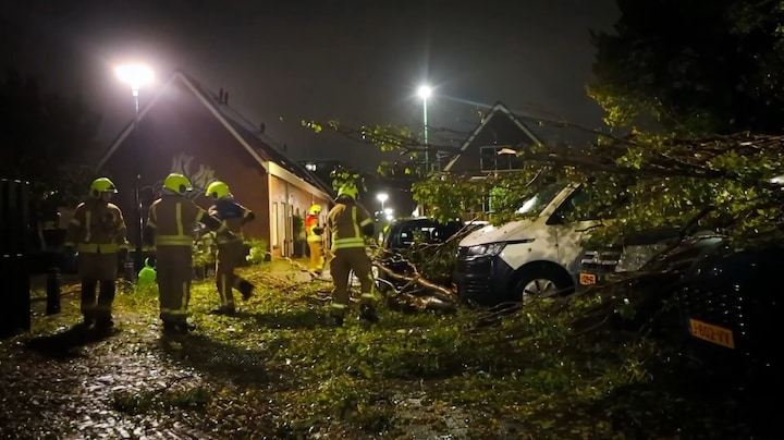 In 112 Vandaag: buurtbewoners klagen al tijden over rotte boom, nu is het te laat