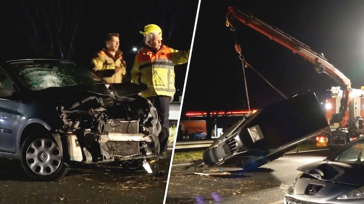 Auto ramt paardentrailer op A7, paard gewond aan been