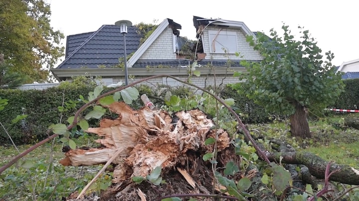 In 112 Vandaag: Grad ziet verrotte boom neerstorten op kinderkamer dochters