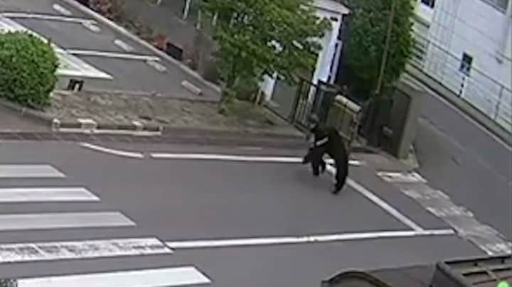 Beer valt vier mensen aan in Japan, ook in woonwijk 