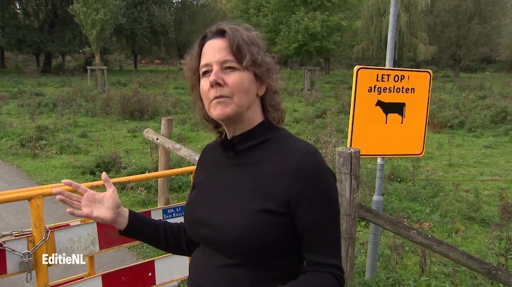 Aflevering 289