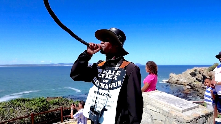 Walvissen bij kust Zuid-Afrika: deze man zorgt dat niemand ze mist