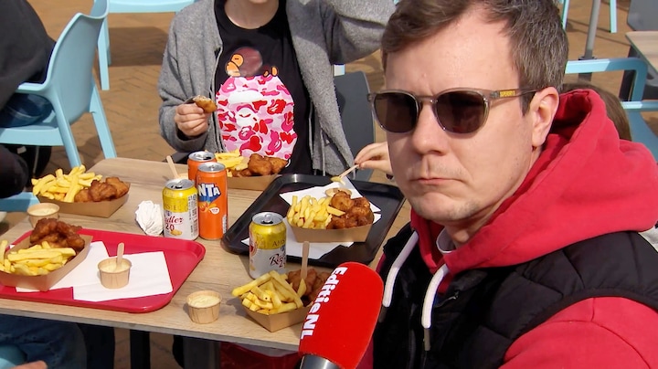 Vlissingen grijpt in: meeuwen voeren verboden