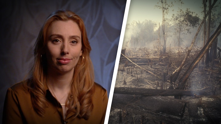 Amazone op rand van kantelpunt: wat staat er op het spel bij klimaattop Belém?