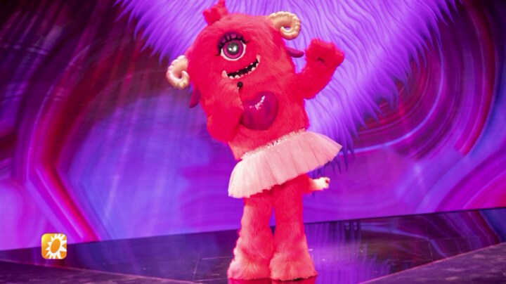 HHB en The Masked Singer zullen er anders uit komen te zien