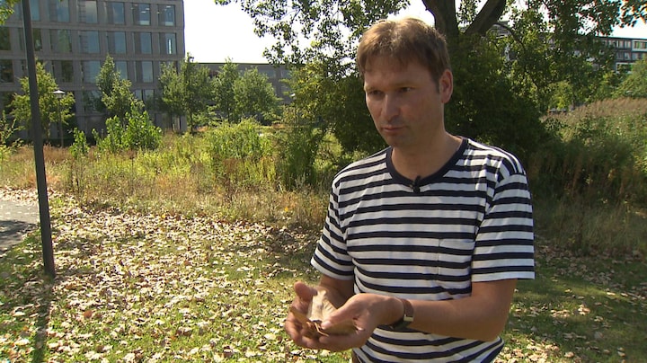 Het lijkt wel herfst: door droogte vallen bladeren nu al van de bomen