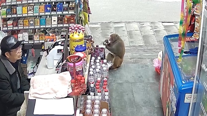 Aap steelt melk uit winkel in China, eigenaar heeft niets door
