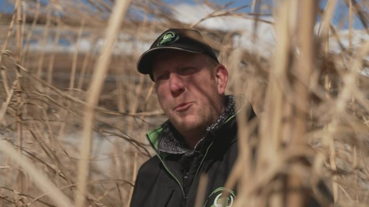 Gras zo hoog als een mammoet als oplossing voor stikstofprobleem? Boer Koos ruilde zijn koeien ervoor om