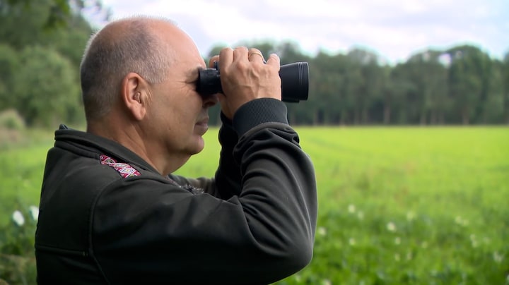 Mee op jacht naar ontsnapte aap Beekse Bergen: 'Ik zie hem daar zitten'