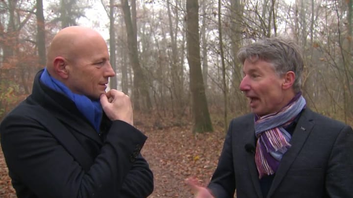 Subsidie biomassa: 'Perverse prikkel die nu moet stoppen'