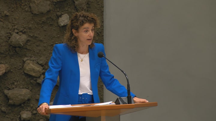 VVD'er Hermans noemt verwijt dat kabinetsval campagnetrucje is 'lelijk'