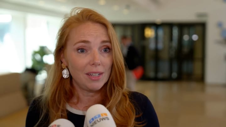 Staatssecretaris over verbod overname DigiD: 'Dat we risico's niet weg konden nemen, maakte dit noodzakelijk'