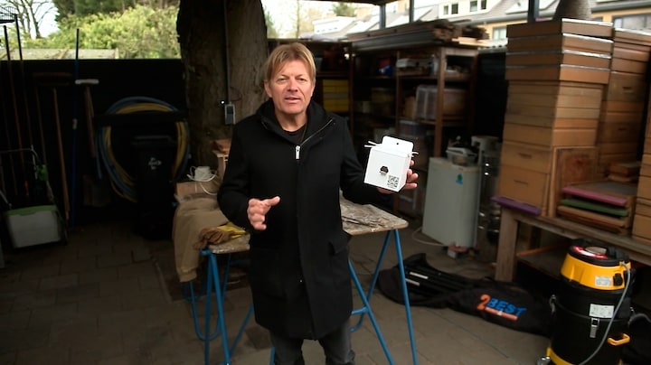 Met deze kartonnen val gaan gemeentes de hoornaar te lijf