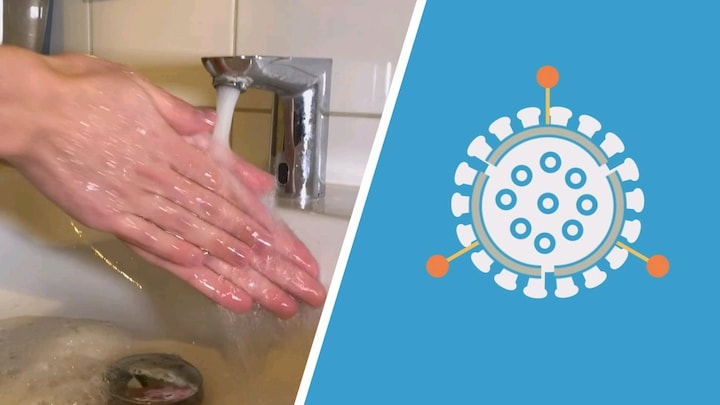 Zo sloopt zeep het coronavirus van je handen