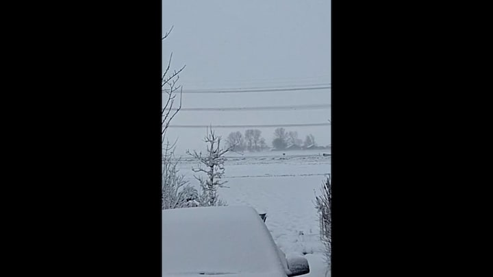Dansende hoogspanningskabels bij Roodeschool