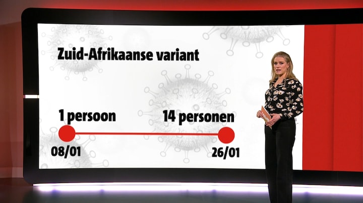 Elke variant een vaccin?
