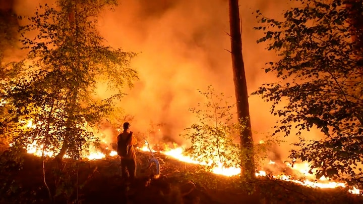 Natuurbrand Venray verwoest 100 hectare grond, treinverkeer nog niet mogelijk