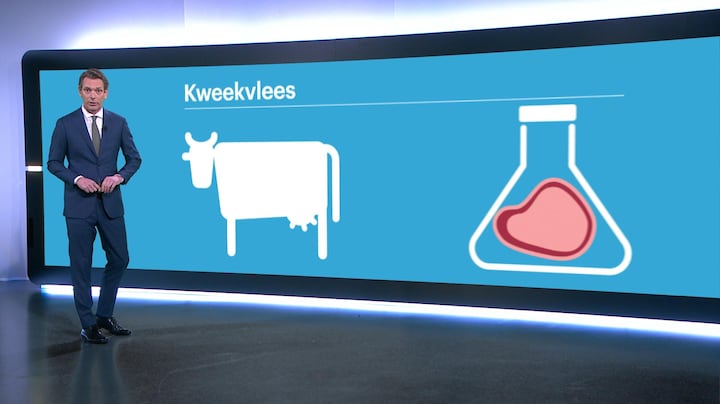 Een hamburger uit het lab? Zo wordt kweekvlees gemaakt