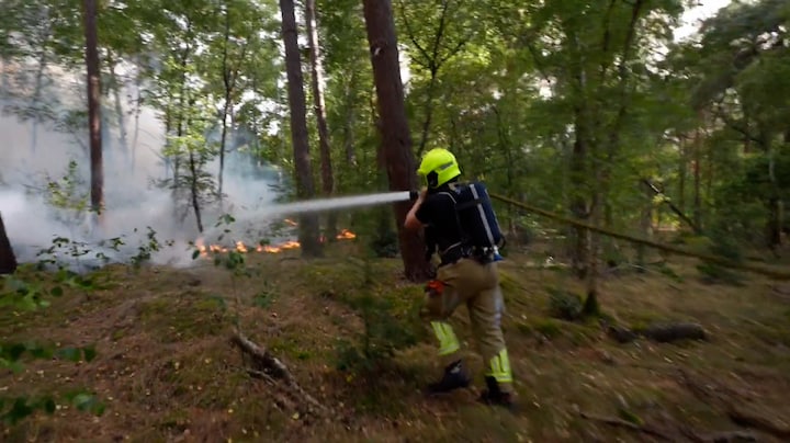Blussen in Venray in beeld: mee met de brandweer het bos in