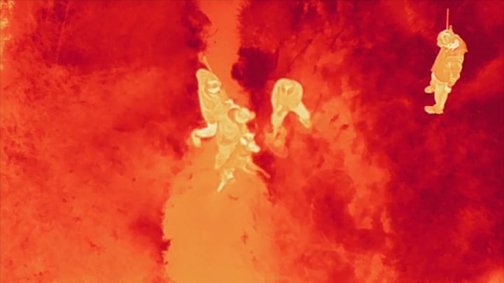 Wolf Neukgu na massale zoektocht gevonden in Zuid-Korea