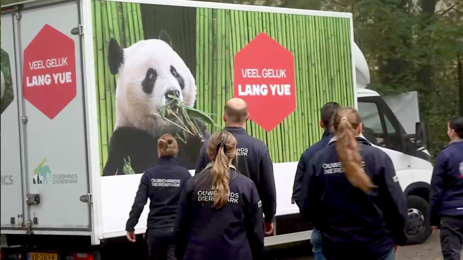 Tranen bij groots afscheid voor panda Ouwehands Dierenpark