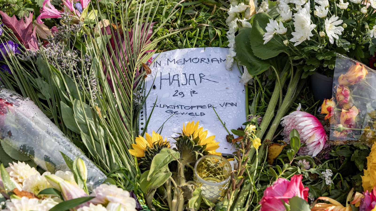 Verdachte dood Hajar (29) aangehouden na geweldsincident met pleegvader