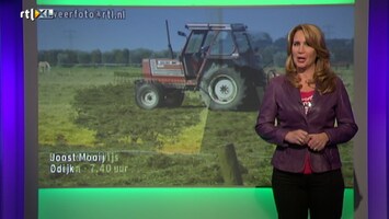 Rtl Weer - 19:55 Uur