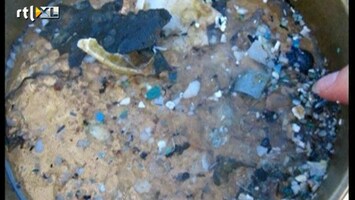 RTL Nieuws Veel schade door plastic op zeebodem