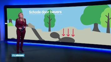 RTL Nieuws Laat