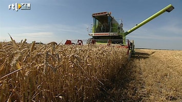 RTL Nieuws Brood wordt duurder door hoge graanprijs