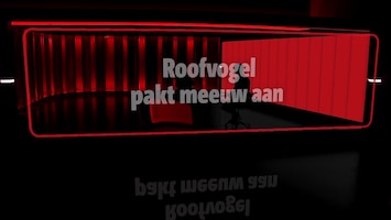 Editie NL Afl. 183
