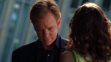 Csi: Miami - Game Over