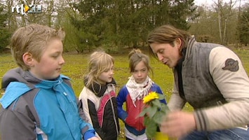 Green-kids Zonnebloemen kweken