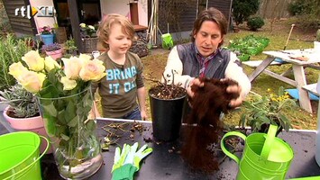 Green-kids Hoe worden zieke plantjes beter? Vraag van de dag