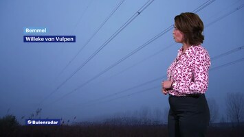 Rtl Weer - 19:55