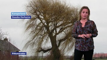 Rtl Weer - 19:55