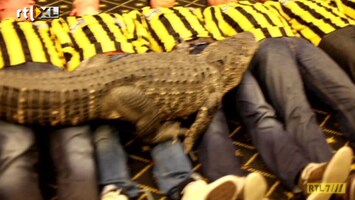 Leven Als Een Prof UDO 6: Een jaar lang leven als een prof (kort)