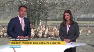 RTL Nieuws 19:30 uur