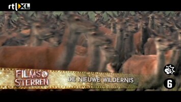 Films & Sterren De Nieuwe Wildernis