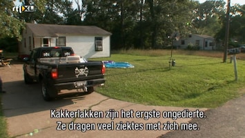 Helden Van 7: Billy The Exterminator - Helden Van 7: Billy The Exterminator /7