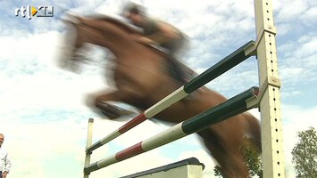 RTL Z Nieuws 30 Olympische paarden gefokt in Nederland