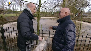 Leven Als Een Prof De loopeend van Jaap Stam