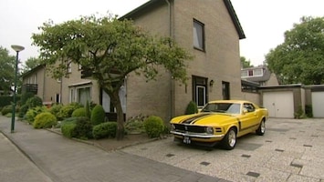 Gek Op Wielen Autogek: Ford Mustang