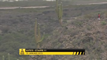 RTL GP: Dakar 2011 Afl. 14