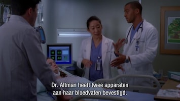 Grey's Anatomy Holidaze