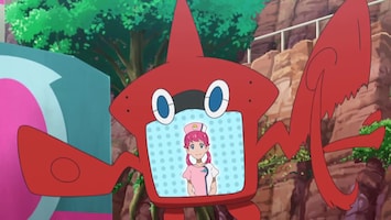 Pokémon - Een Pittig Eilandonderzoek!