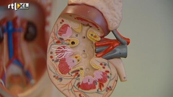 RTL Nieuws Groot onderzoek naar organenhandel