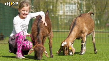 RTL Nieuws Kijkje op de kinderboerderij